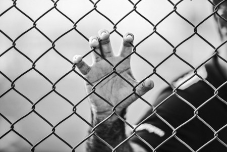 Kolumna: Dr. Lucija Mulej: Izpust iz zapora jazov